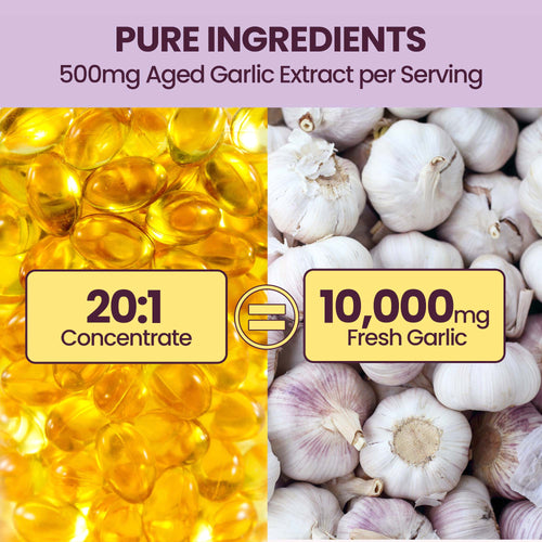 Aged Garlic Extract Softgels, 300 Softgels, 20:1 Extract