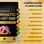 Lymphatic Support