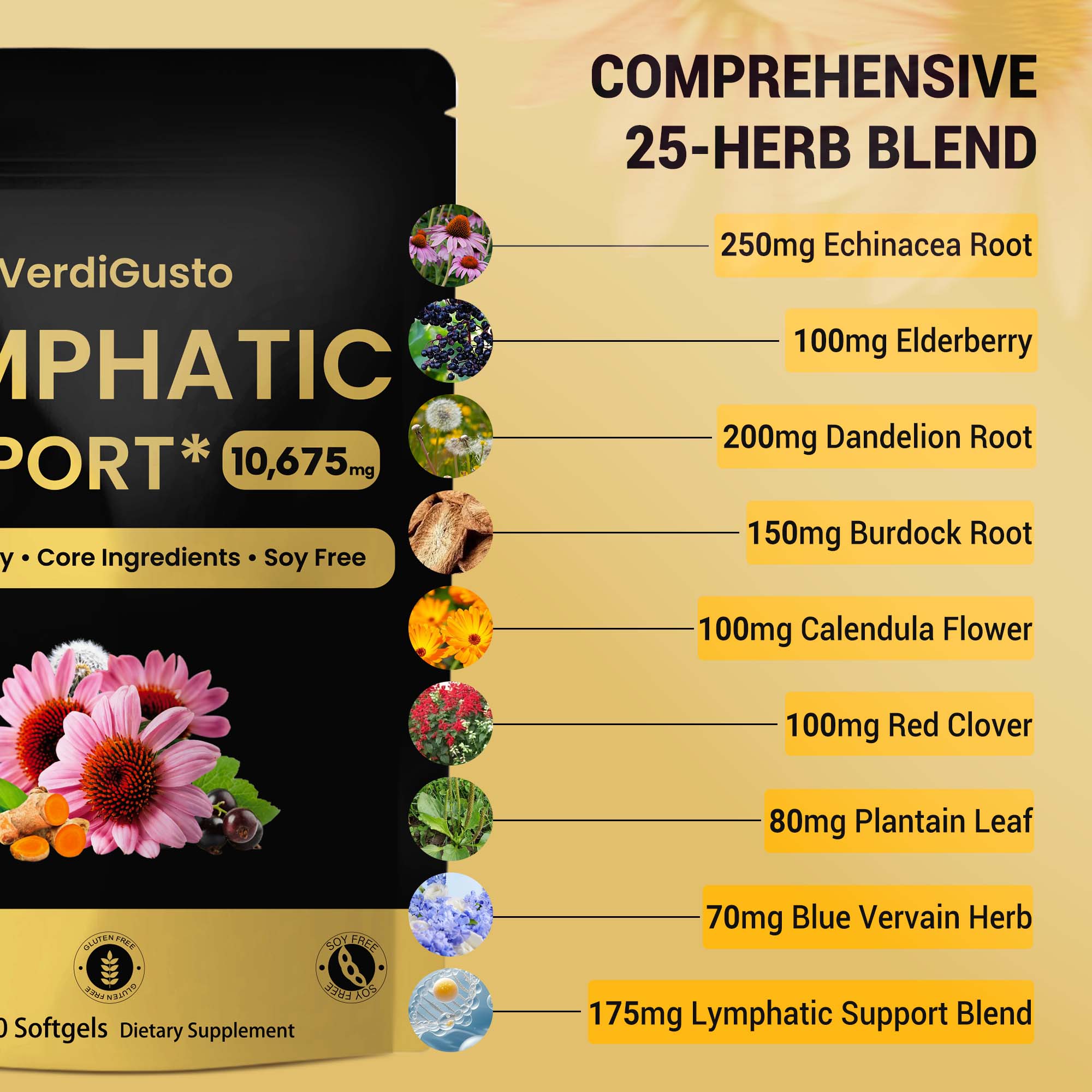 Lymphatic Support
