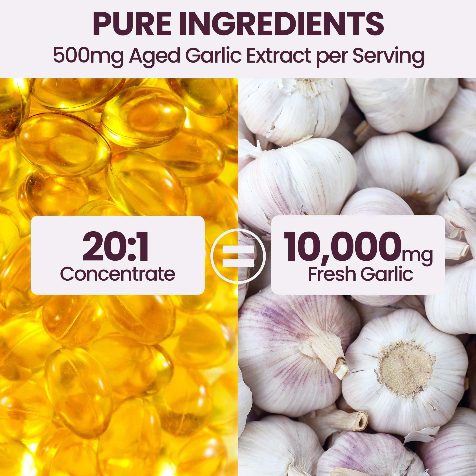 Aged Garlic Extract Softgels, 350 Softgels