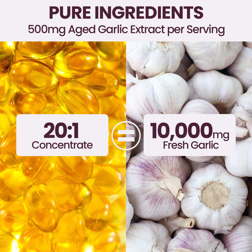 Aged Garlic Extract Softgels, 350 Softgels