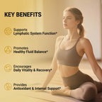 Lymphatic Support