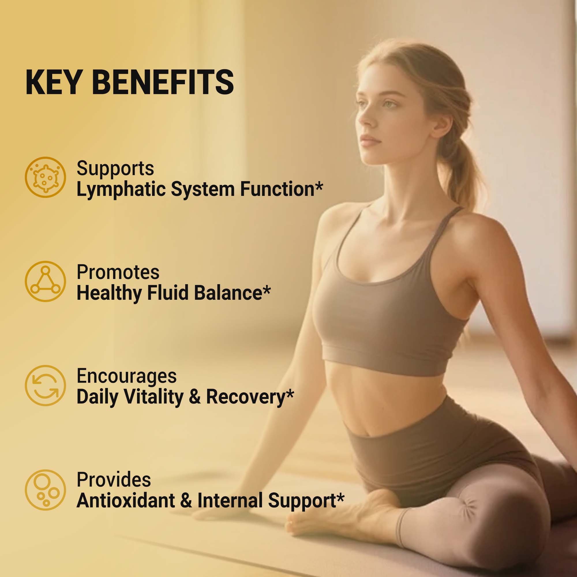 Lymphatic Support