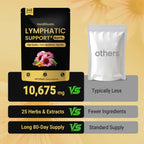 Lymphatic Support